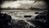 The Whispering Cliffs